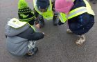 31.01. – DV1 – Januarske dejavnosti