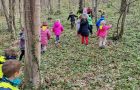 marec – Pomladno potepanje